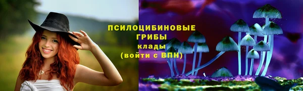a pvp Володарск