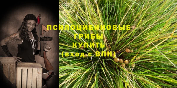 ECSTASY Волоколамск