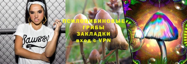 ECSTASY Волоколамск